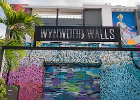 Exclusive Wynwood Walls and Art Walking Tour with Street Artist Experience
