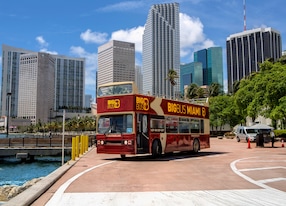 Hop On Hop Off Discover Miami Bayside