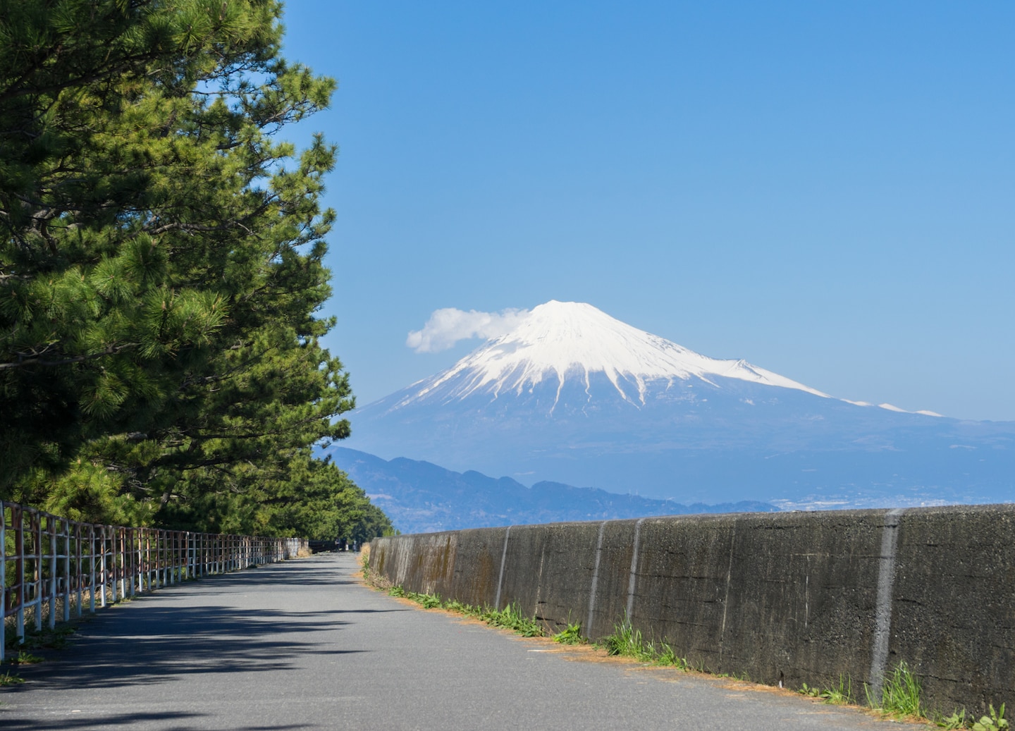 Mount Fuji rising in the distance. - Mt. Fuji, Japan