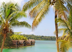 huts and palm trees island