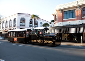 train tour in napier