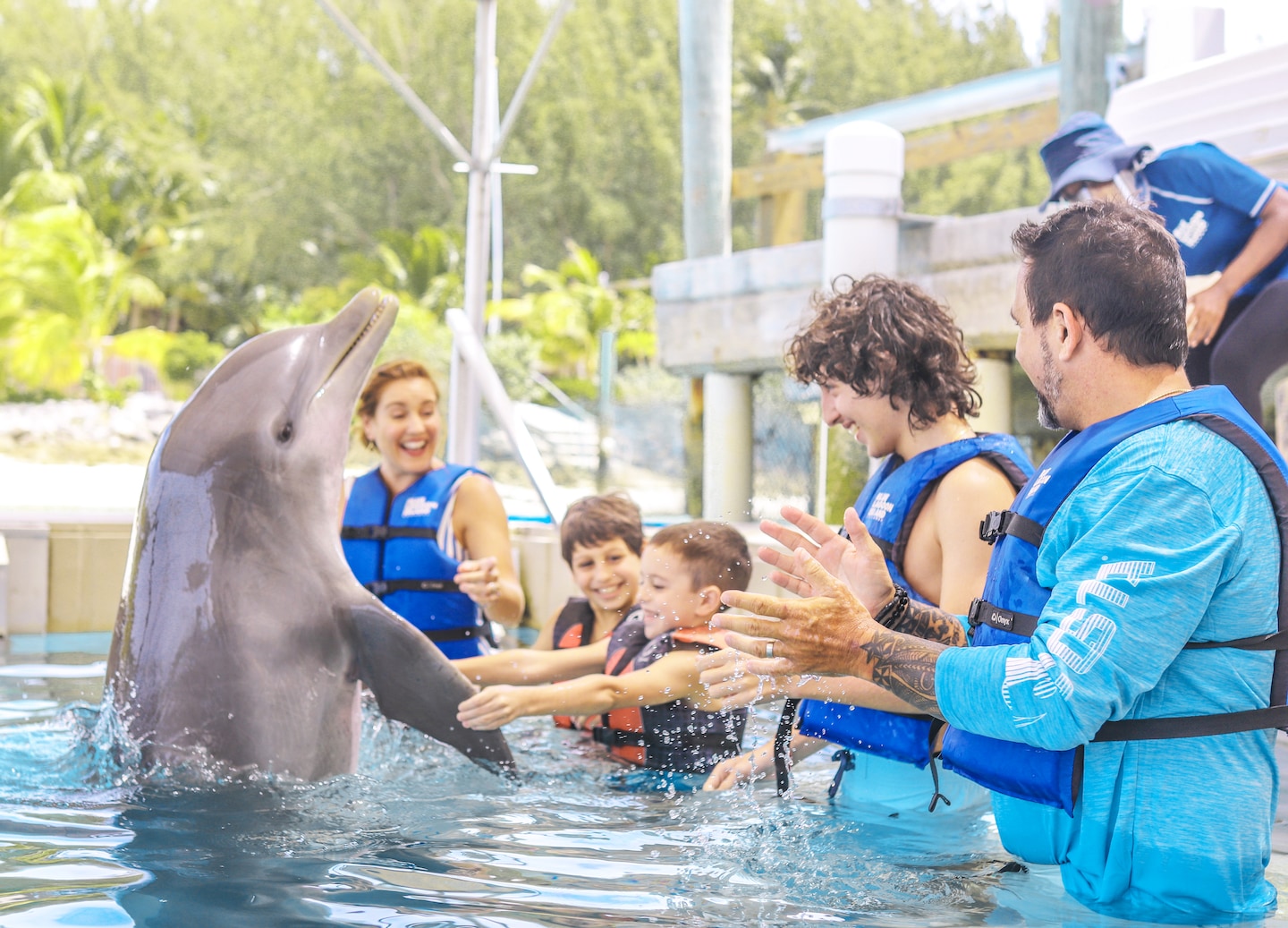 Guests gently hold a dolphin’s fins during a shallow‑water interaction in Blue Lagoon. - Nassau, Bahamas