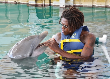 man feeling dolphin teeth