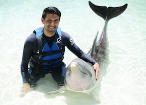 man dolphin