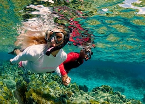 man woman couple snorkel snorkelin in water near coral reef