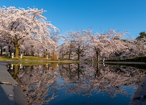 Niigata Nature and Nostalgia Hakusan Park