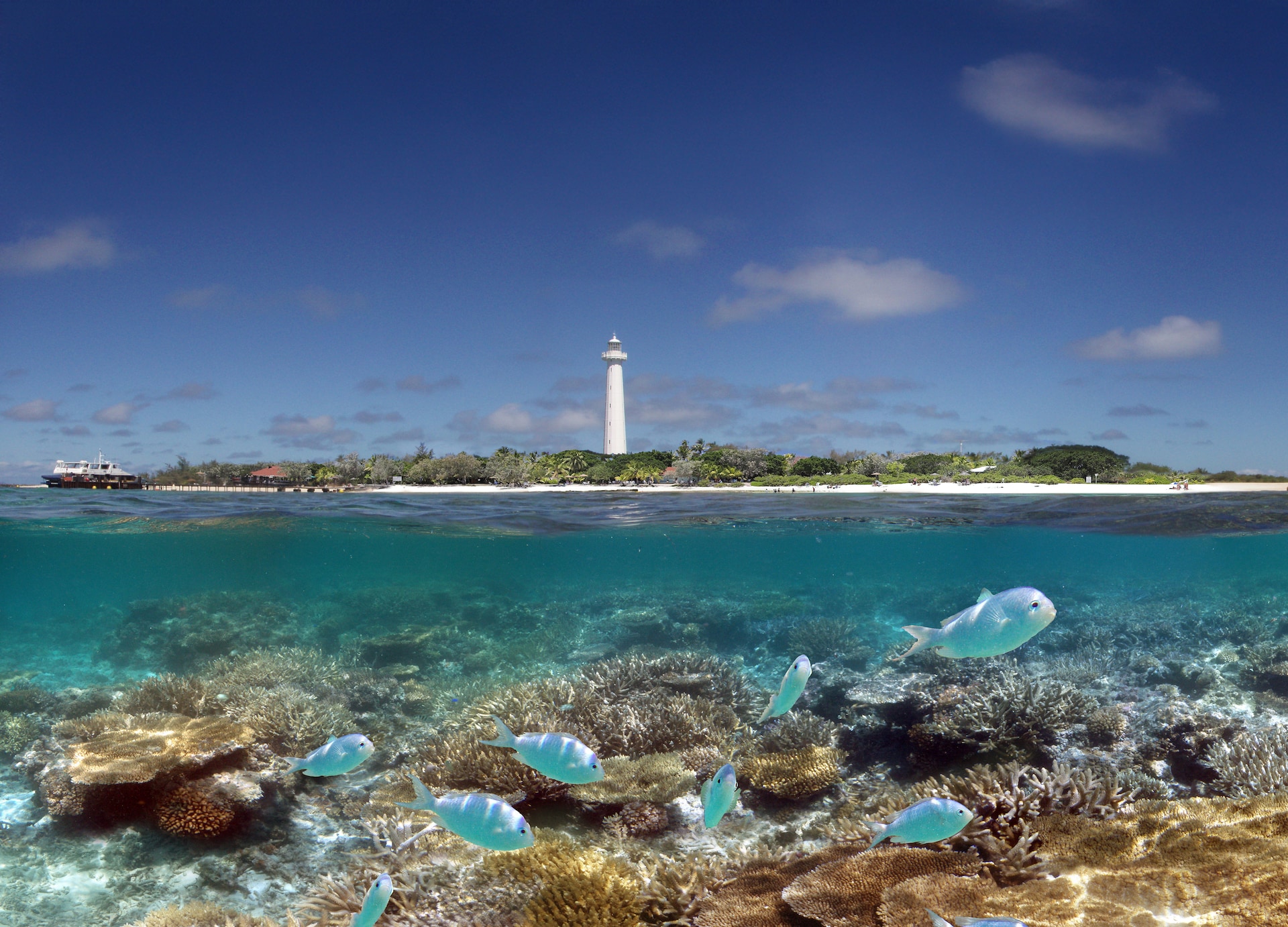 day trip to paradise amazing amedee island half underwater light house ocean noumea new caledonia oceania