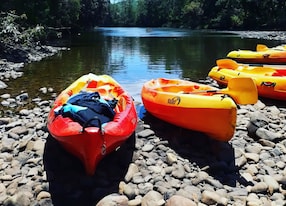 Disocver Dumbea River by Kayak