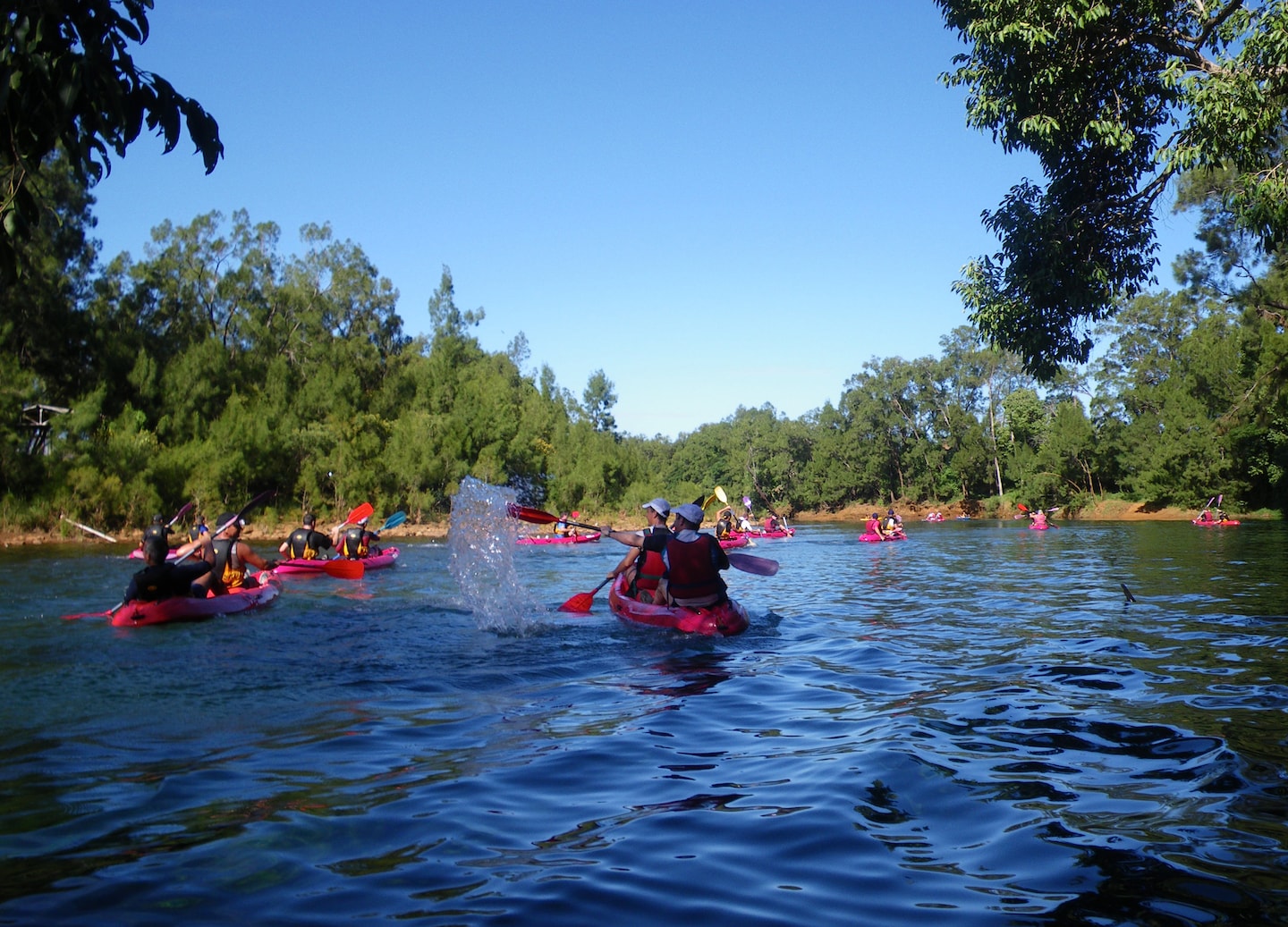 A kayaker paddles along the clear Dumbea River, surrounded by lush green forest and calm water. - Noumea, New Caledonia