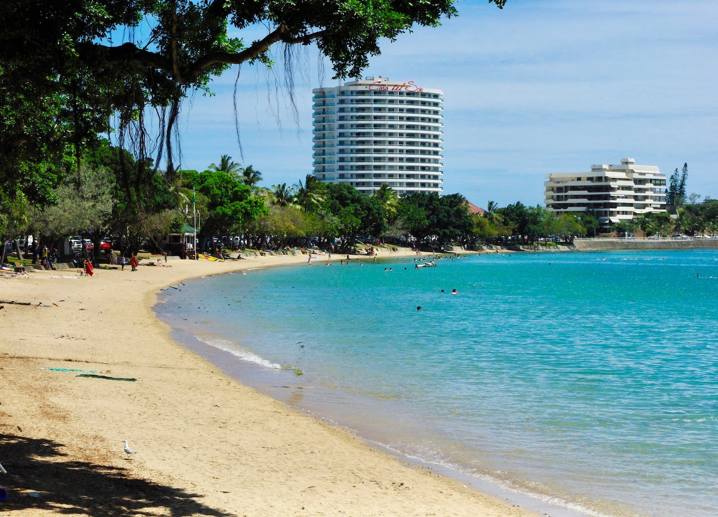 Noumea’s beach shows turquoise water, white sand, and palm trees lining the bright shoreline. - Noumea, New Caledonia