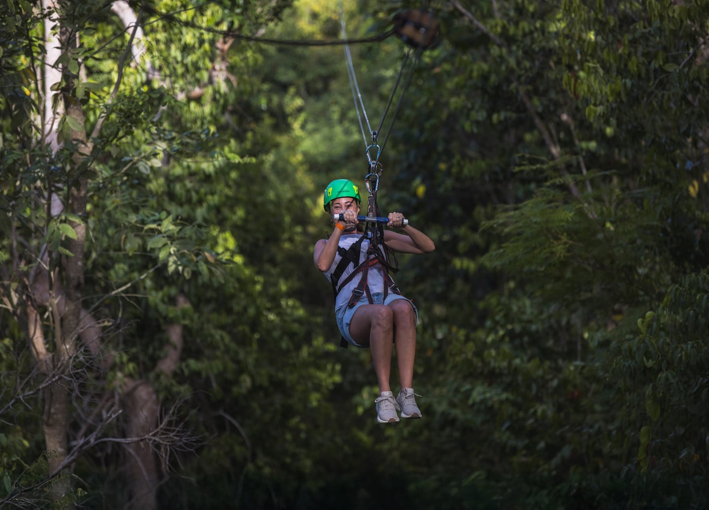 Visitor ziplining across the jungle canopy. - Samaná, Dominican Republic