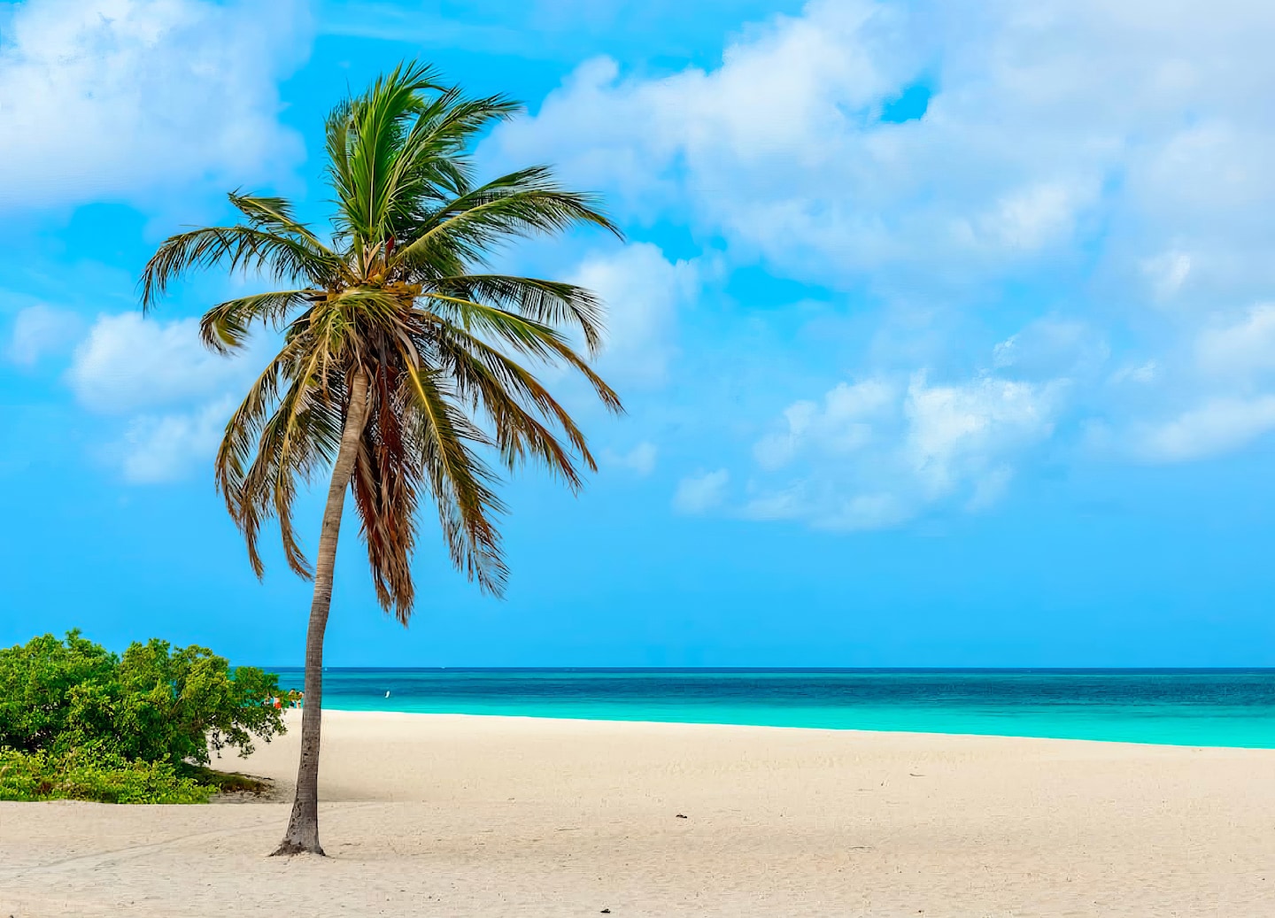 Aruba offers sunny skies, safe beaches, watersports, and vibrant culture in August fun. - Oranjestad, Aruba