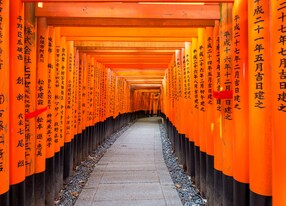 red tori gates of fushimi inari shrine