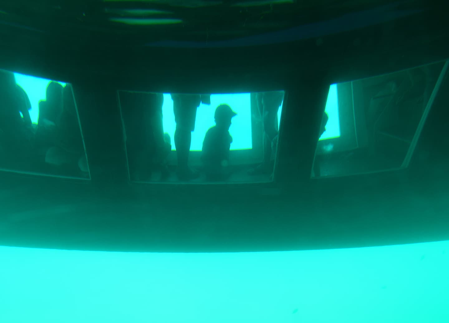 Guests observe underwater via a glass‑bottom boat, Seaworld Explorer. - Bahamas