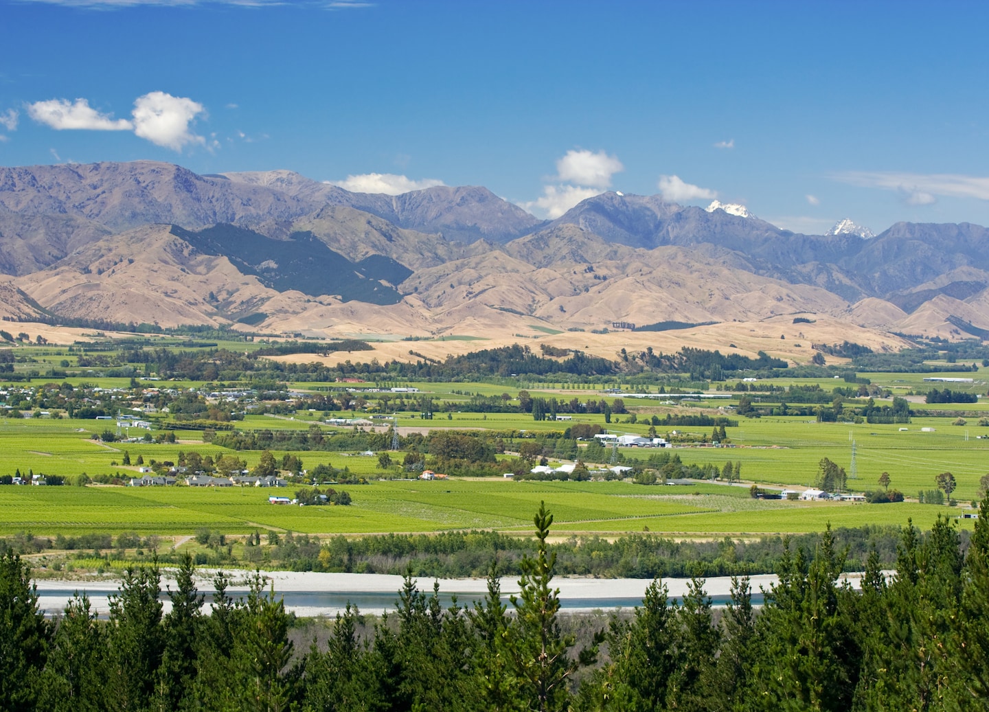 Savor Marlborough with brandies, wines, and chocolates for a true gourmet experience. - Picton, New Zealand
