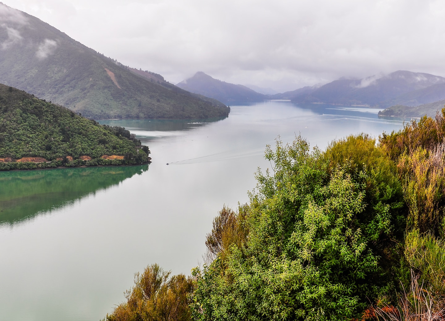 Enjoy a boat ride and guided hike through forests and coastal views on the Queen Charlotte Track. - Picton, New Zealand