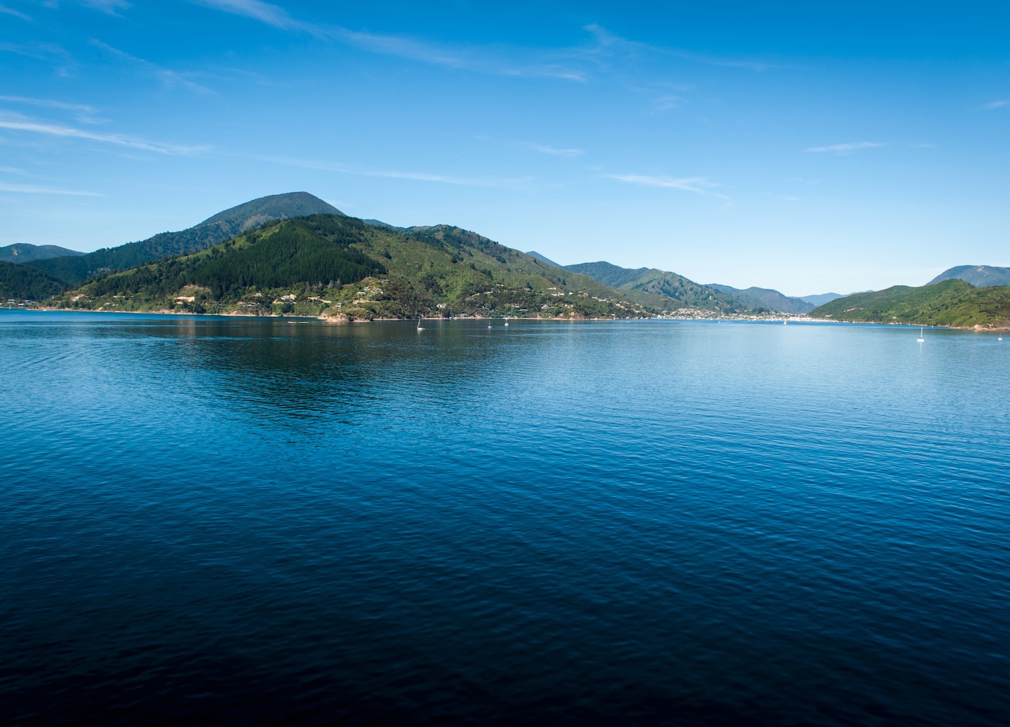 Kayak the Grove Arm, passing beaches and bush while spotting seabirds in peaceful surroundings. - Picton, New Zealand