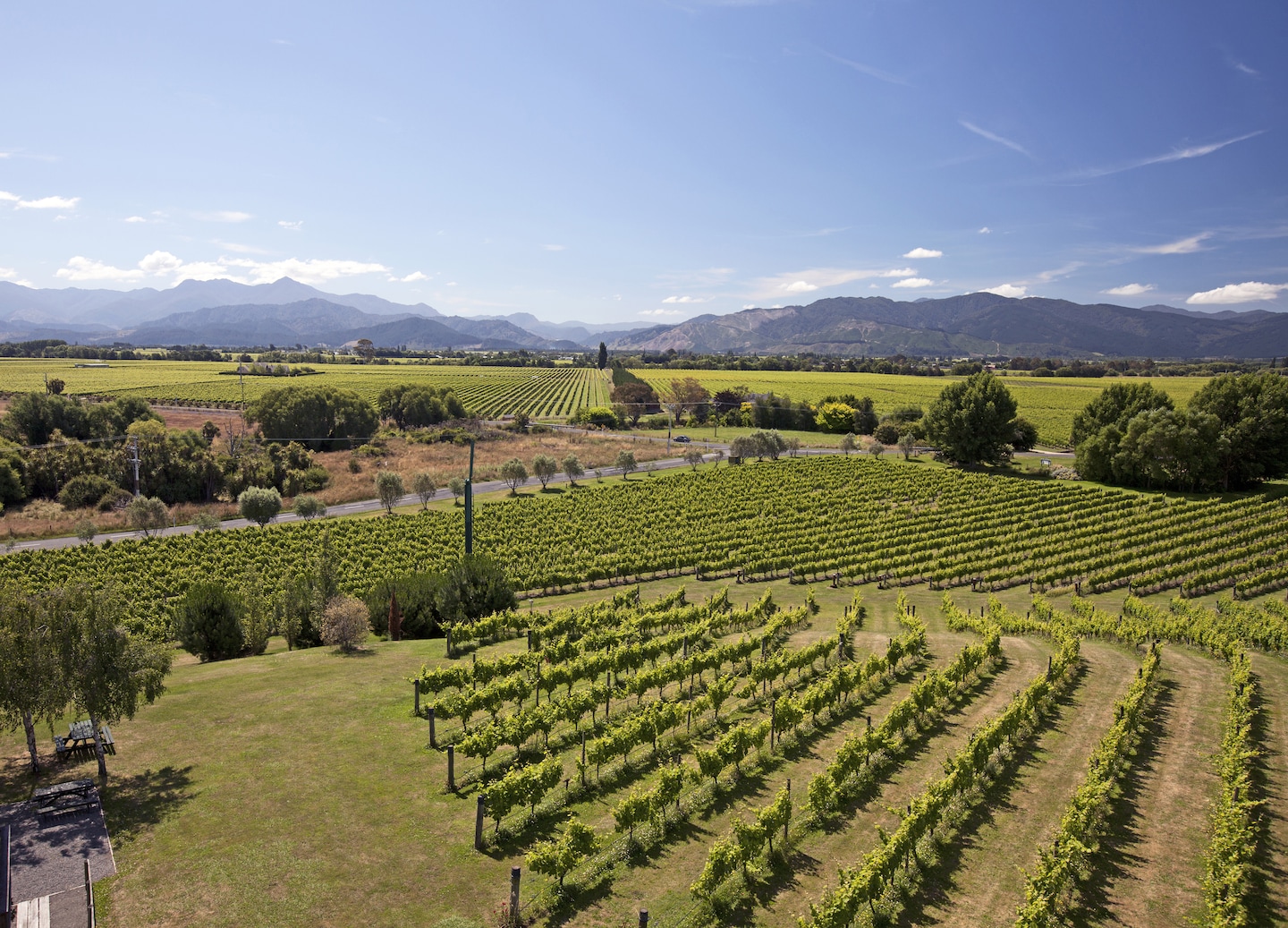 Cycle through vineyards, enjoy tastings, and savor lunch while exploring Marlborough’s scenic countryside. - Picton, New Zealand