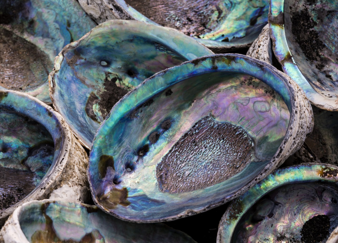 Visit Arapawa Island’s farm to see and learn about the world’s only blue paua pearls. - Picton, New Zealand