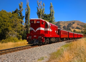Marlborough Flyer Scenic Railway Closeup