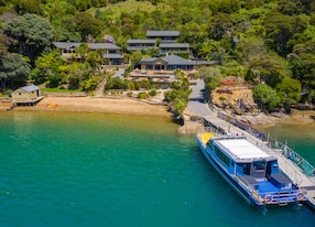 Lochmara Wildlife and Underwater Observatory Tour