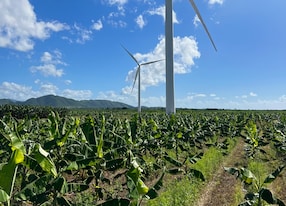Eco Farm Experience and Ponce Highlights