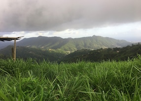northern range trinidad paramin