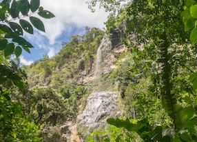 maracas waterfall trinidad