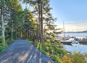 Prince Rupert Kayak and Rainforest Stroll Trail Harbor