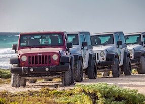 line up of jeeps beachside
