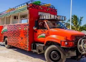 Adventure Truck Natural Swimming Pool and Jungle Bike Jaguar Bus