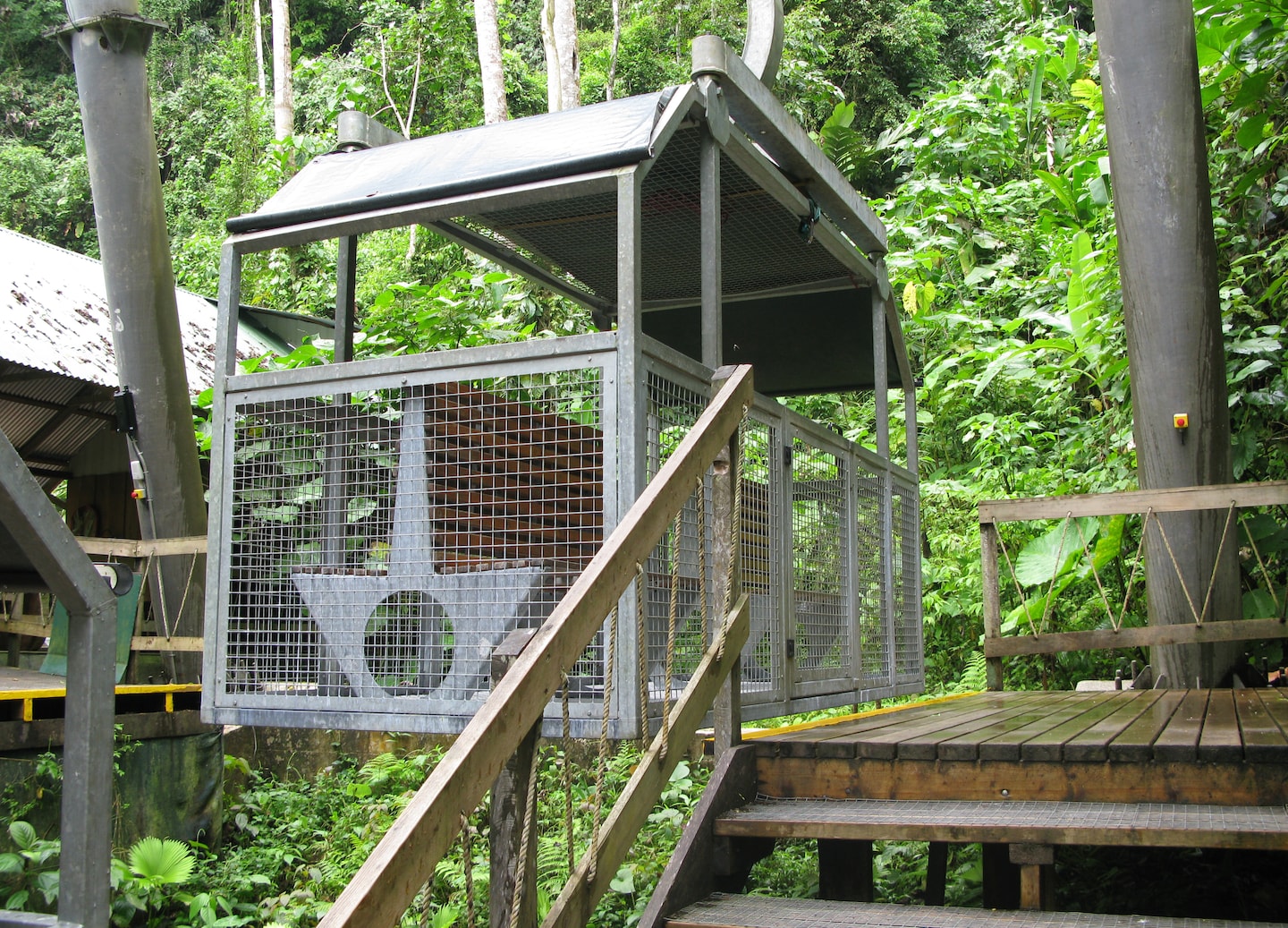 An aerial tram glides above Veragua Rainforest, offering views of dense green canopy below. - Puerto Limon, Costa Rica