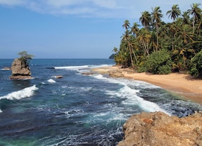 wild tropical beach with lush vegetation and rocky islet costa rica manzanillo central america