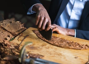 close up of man cutting tobacco leaf on wooden board