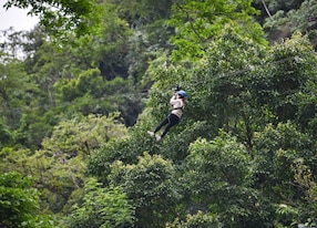 ziplining girl canopy jungle