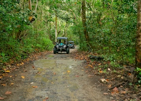 atv dirt road jungle adventure
