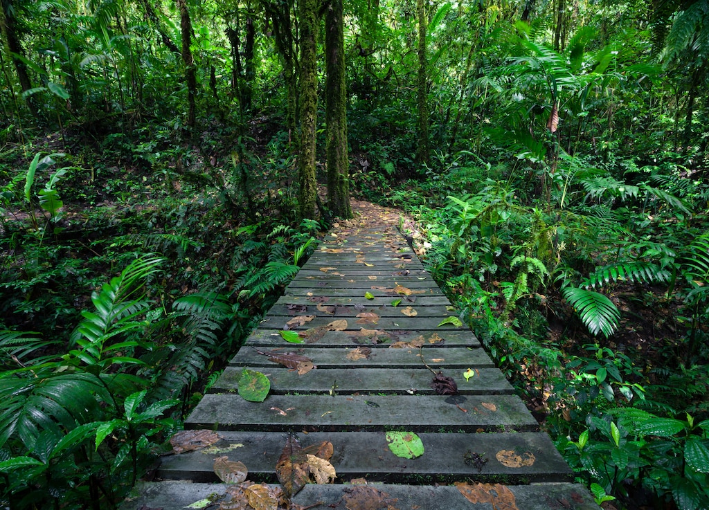 Best Things to Do in Puntarenas, Costa Rica