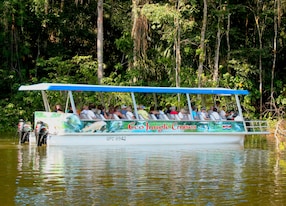 Crocodile Safari Carara National Park Boat Tour