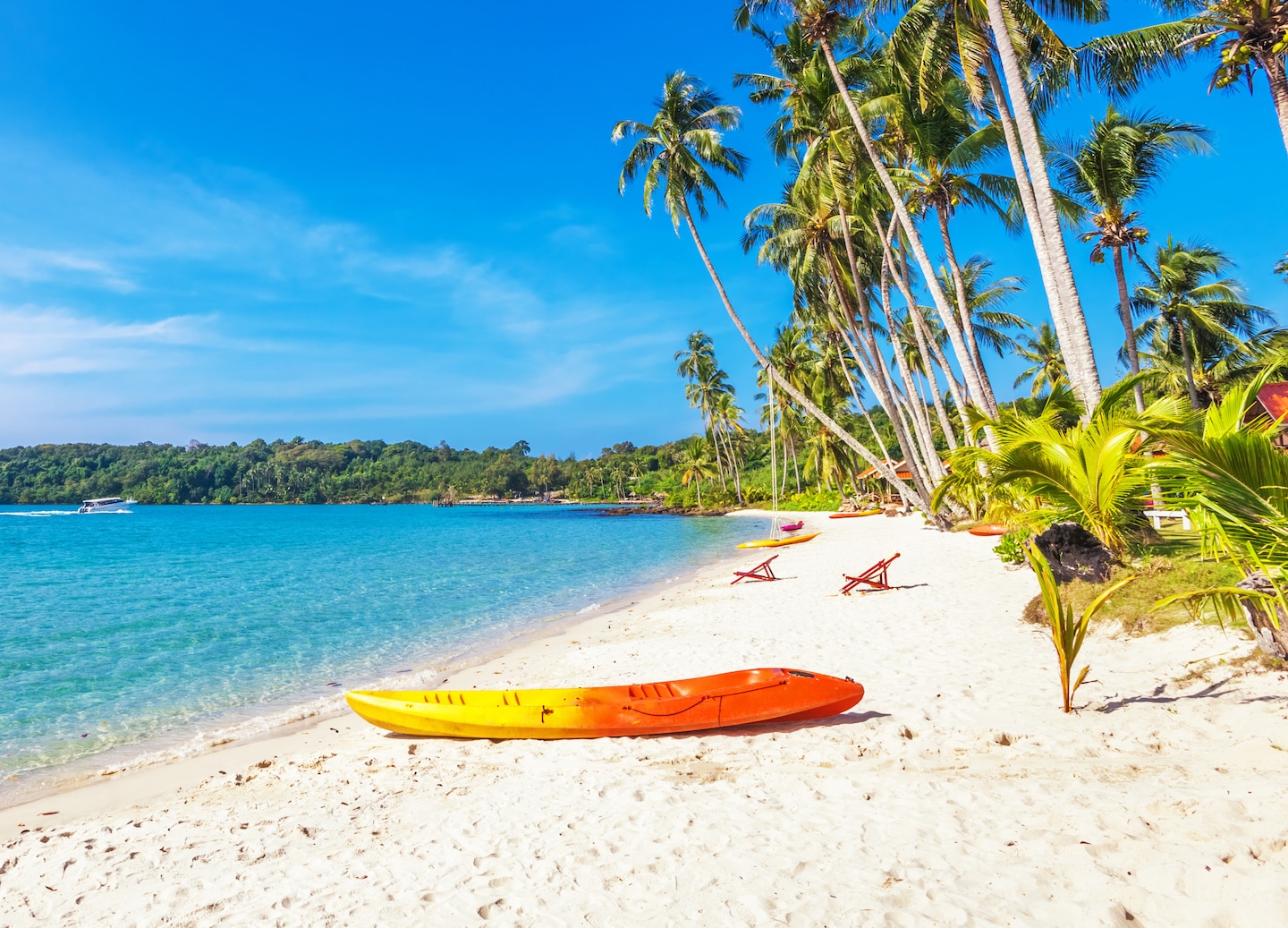 Explore Roatan’s coast by kayak or paddleboard, combining fitness, adventure and marine wildlife viewing. - Roatán, Honduras