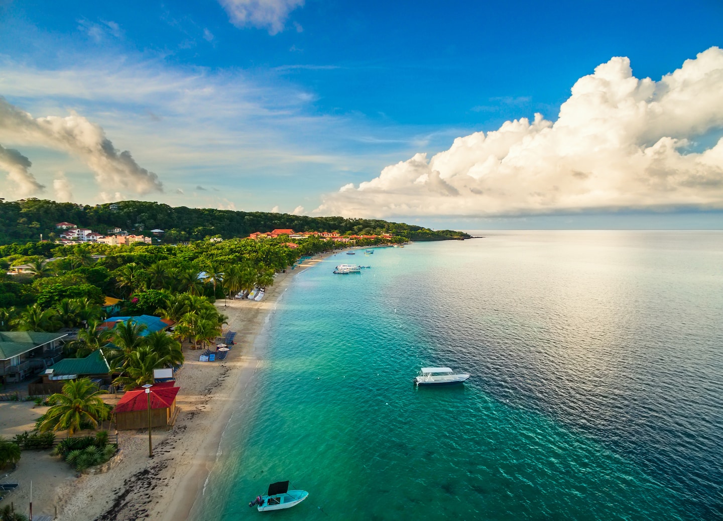Aerial view of Roatán’s tropical shoreline with calm turquoise water, soft sand, and lush green trees. - Roatan, Honduras