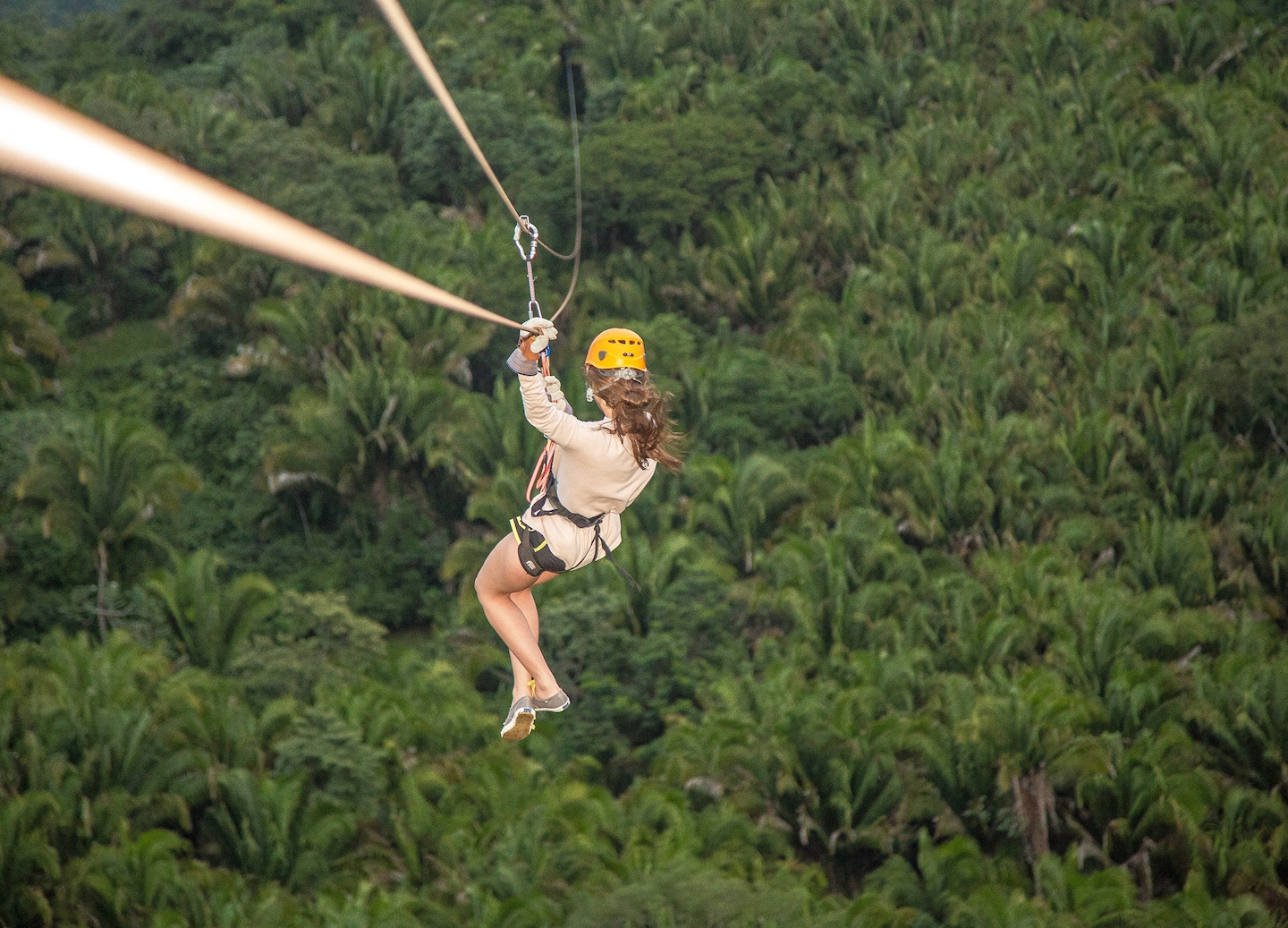 Soar through Roatan’s tropical canopy on an exhilarating zip line adventure with stunning island views.  - Roatán, Honduras
