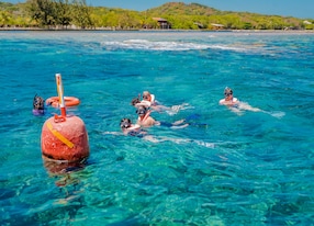Shipwreck Snorkel and Beach Group Snorkeling