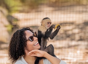 Easy Roatan Monkey Sloth and Iguana Interaction Woman Monkey
