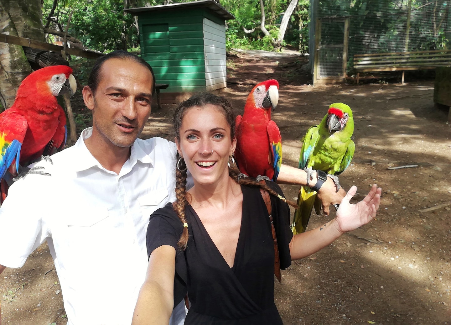 Couple stands with colorful parrots in lush eco‑park. - Roatán, Honduras