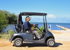 Golf Cart Adventure Roatan Sights Culture and Beach with Lunch Man Riding Golf Cart