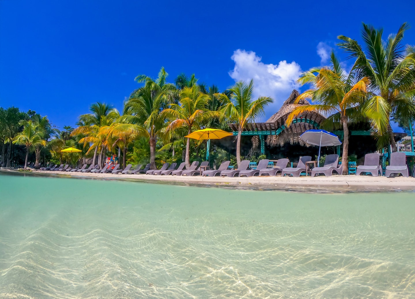 Little French Key’s beach shows clear turquoise water, soft sand, and calm Caribbean shoreline. - Roatan, Honduras