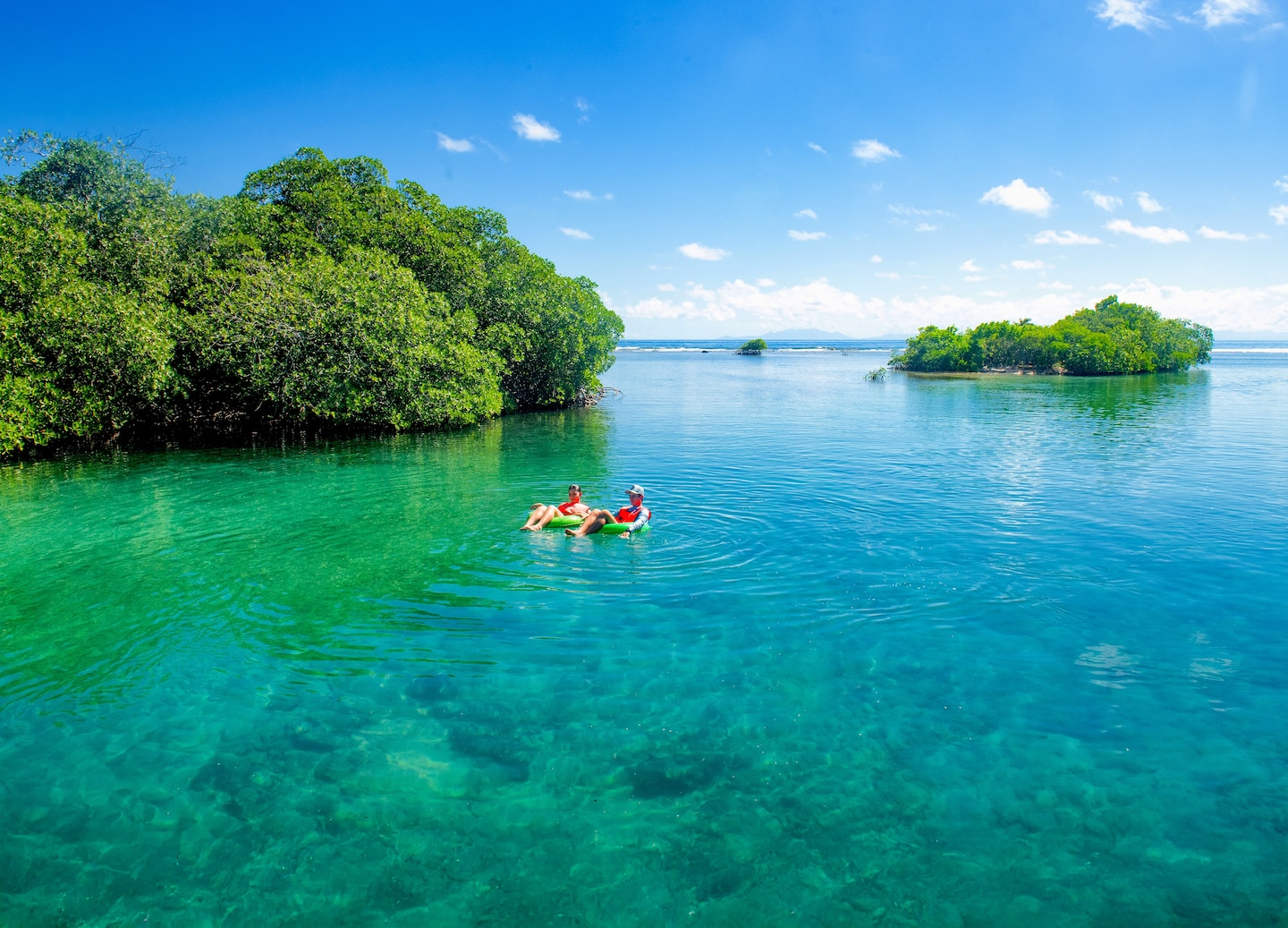 Couple floating in inner tubes through a calm mangrove waterway. - Roatán, Honduras