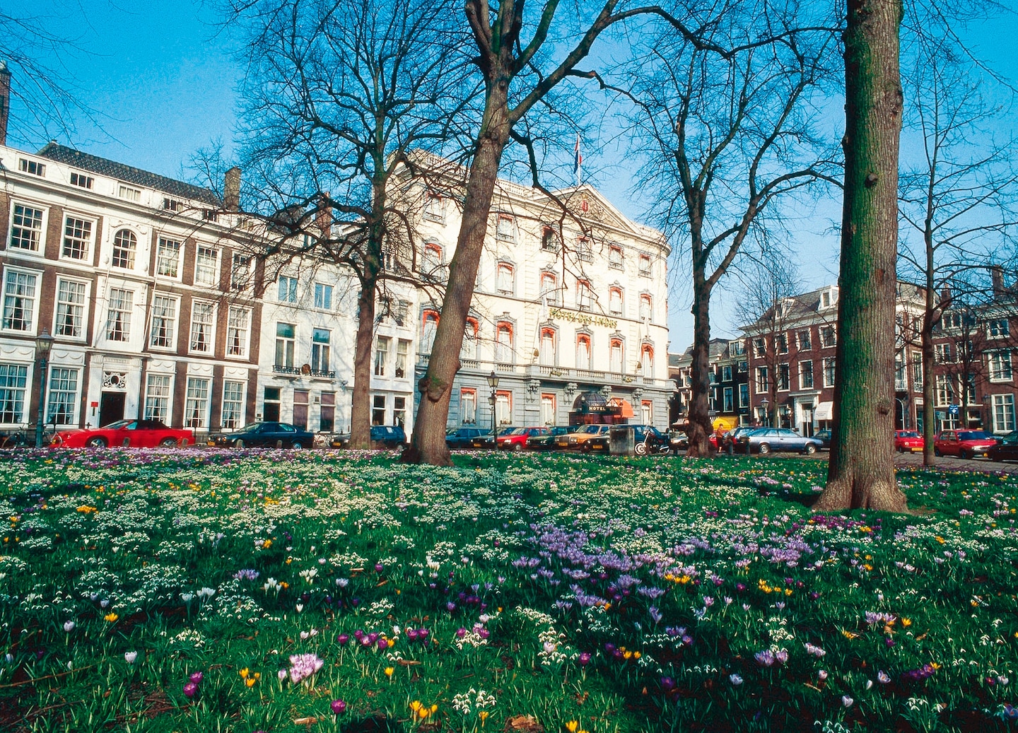 The Hague blends political power, world-class art and coastal charm beautifully. - Rotterdam, Netherlands