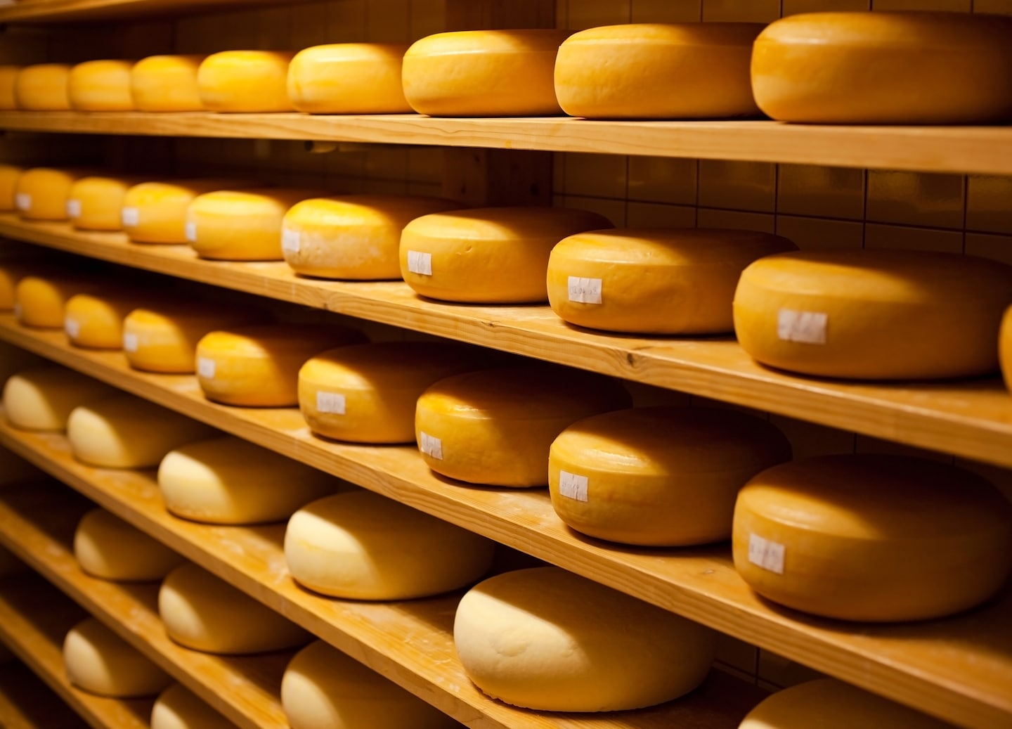 Rotterdam delights cheese lovers with Gouda, Beemster, Leyden varieties. - Rotterdam, Netherlands