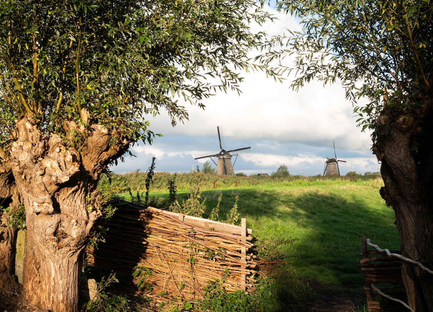 Cycle through windmills, tulips and farms for a true Dutch countryside experience. - Rotterdam, Netherlands